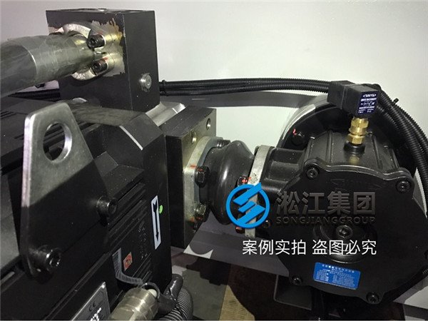安裝現場注塑機液壓泵抽油橡膠避振喉“ASA NG80”